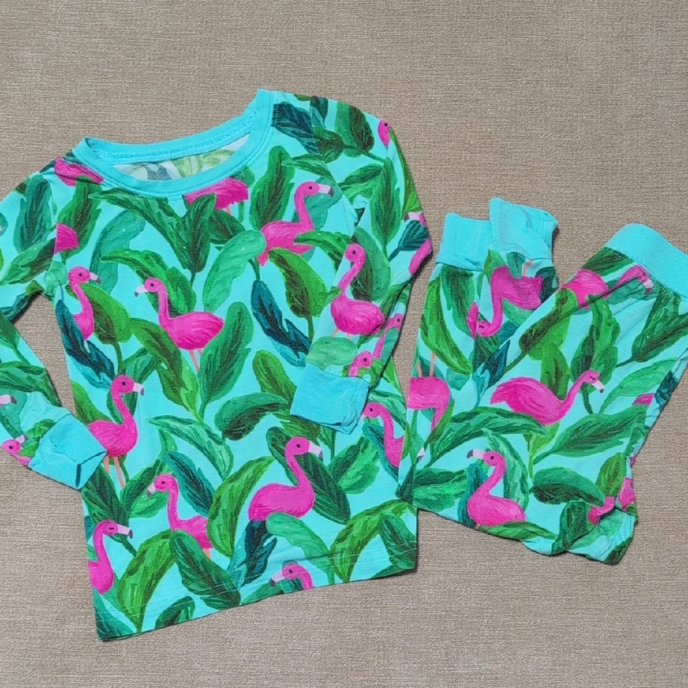 Little Sleepies 12-18m 2pc set In Palm Springs